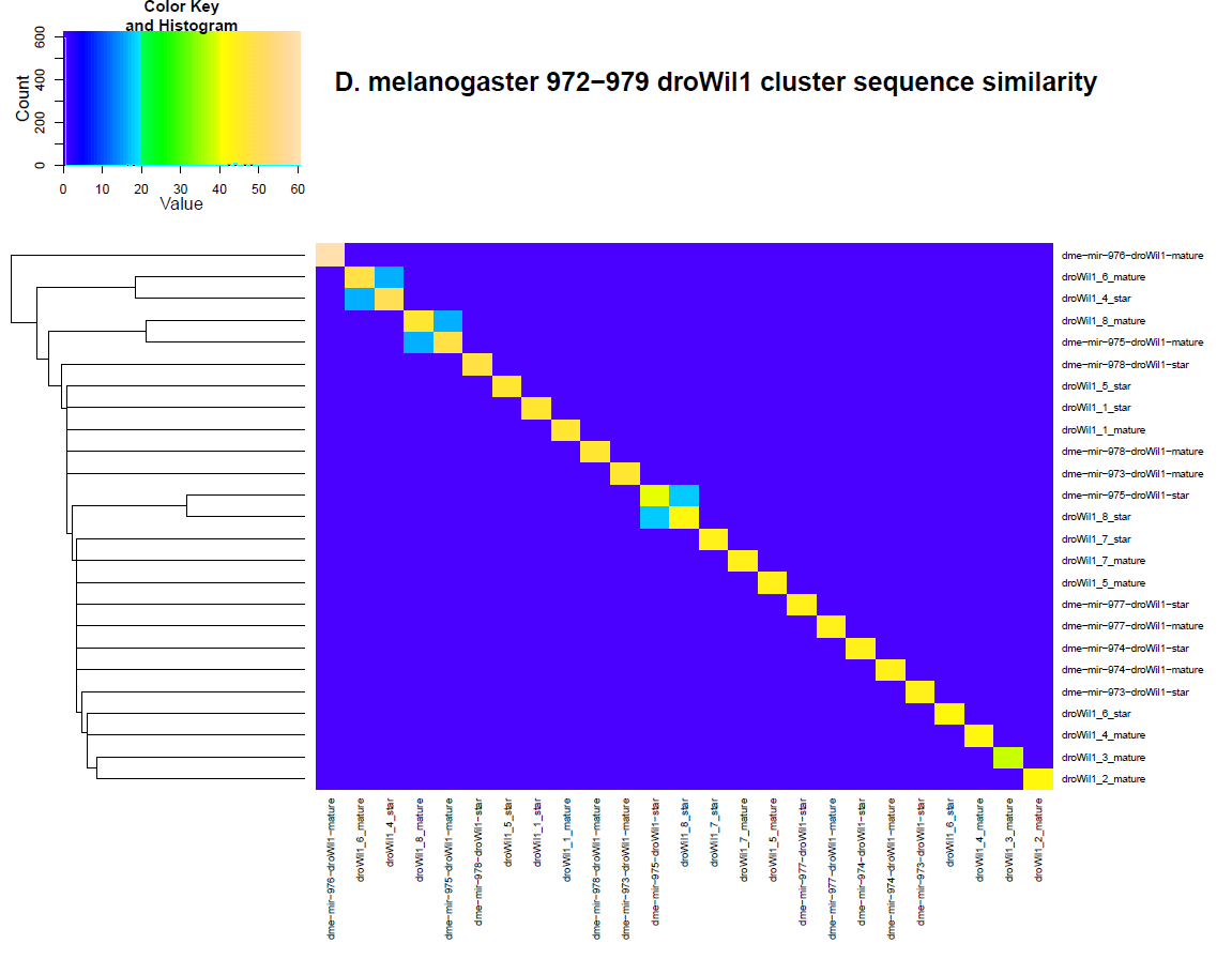 droWil1HeatMap
